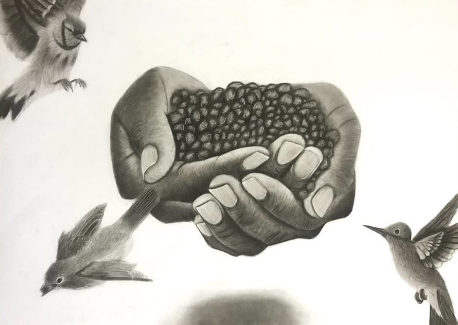 Provision