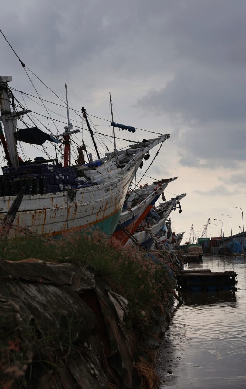 Traditional wooden schooners 